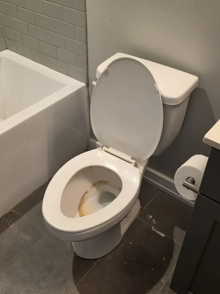 Toilet before cleaning